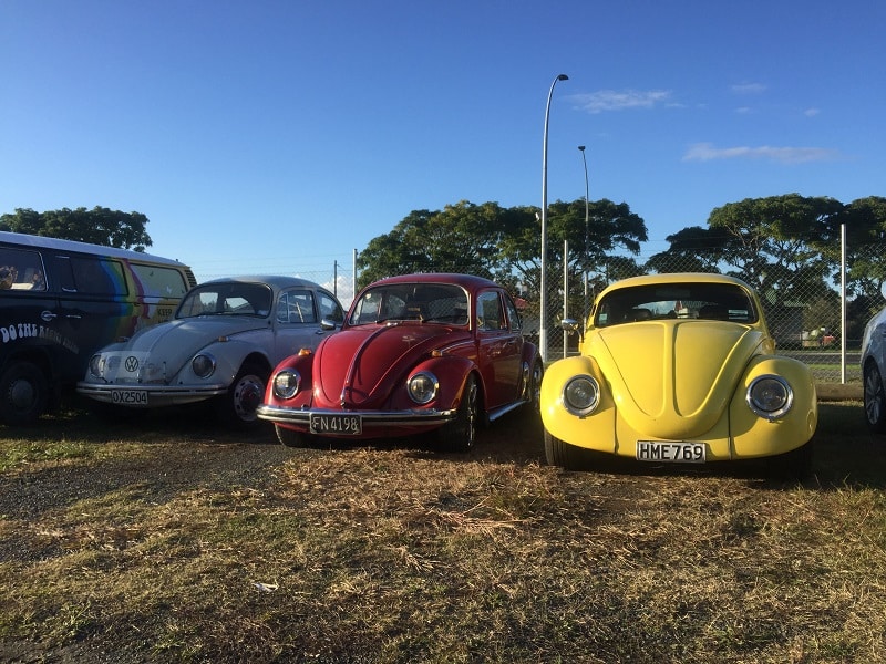 VW Beetles VW Beetles